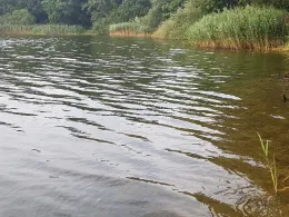 Kronensee (Westerfeld)-3