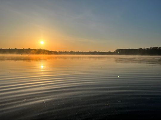 Kronensee (Westerfeld)-2