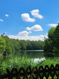 Privatteich Eddl (Döbern)