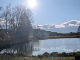 Teichanlage Bühler-2