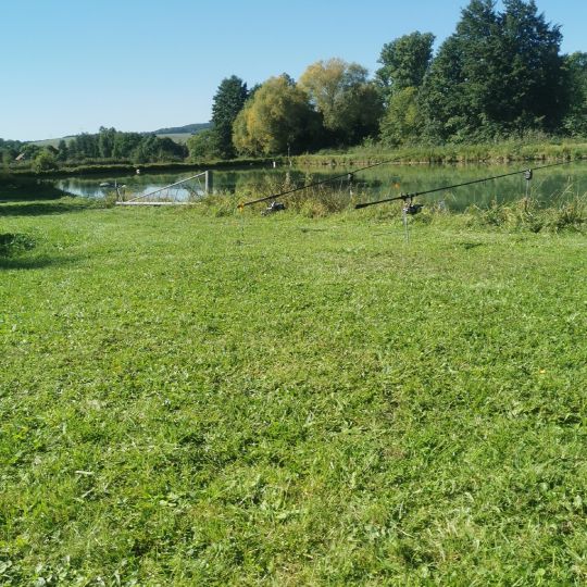 Teichanlage Bühler-1