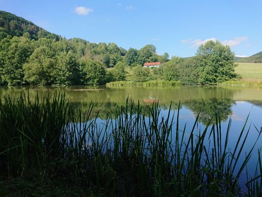 Diedorfer Teich angeln