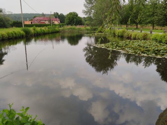 Förstereiteich (Lohmen)-3