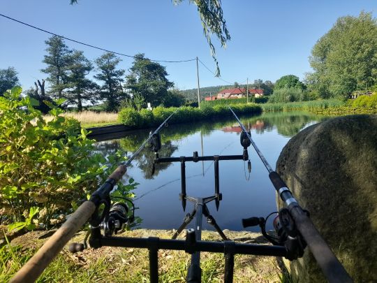 Förstereiteich (Lohmen)-4