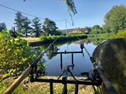 Förstereiteich (Lohmen)-4