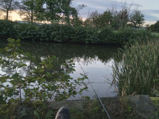 Förstereiteich (Lohmen)-2