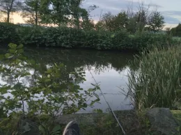 Förstereiteich (Lohmen)-2