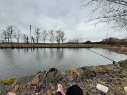 Förstereiteich (Lohmen)