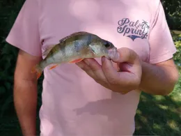 Beregnungsteich Neukirchen-1