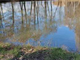 Beregnungsteich Neukirchen-2