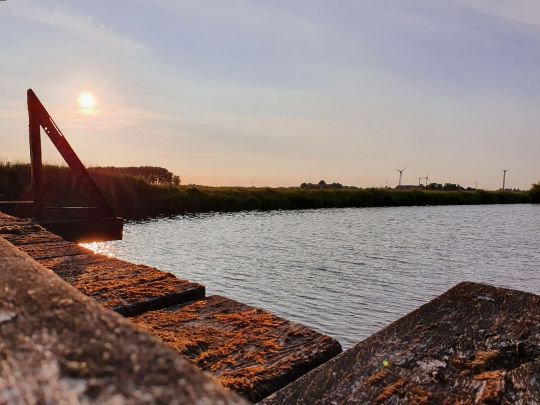 Harle (Altfunnixsiel)-1