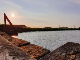 Harle (Altfunnixsiel)-1