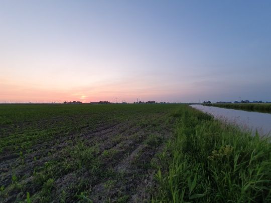 Harle (Altfunnixsiel)-3