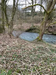 Sülz (Immekeppel)-2