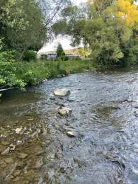 Sülz (Immekeppel)-4