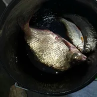 Sauer (Langsur-Wasserbillig)-2