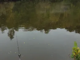 Sauer (Langsur-Wasserbillig)-4