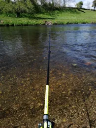 Zwickauer Mulde (Zwickau)-2