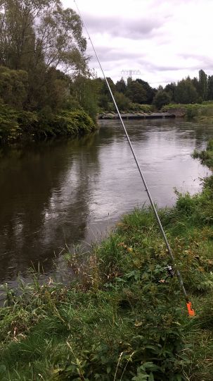 Zwickauer Mulde (Zwickau)-3
