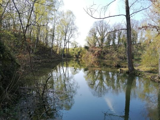 Steinbrüche (Nordhusen)-1