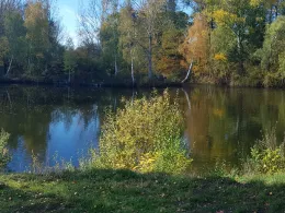 Steinbrüche (Nordhusen)