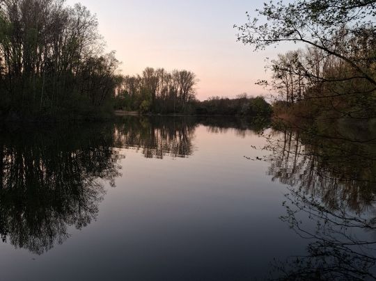 Marschsee (Eystrup)-3