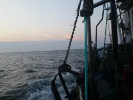 Nordsee (Leybucht)-1