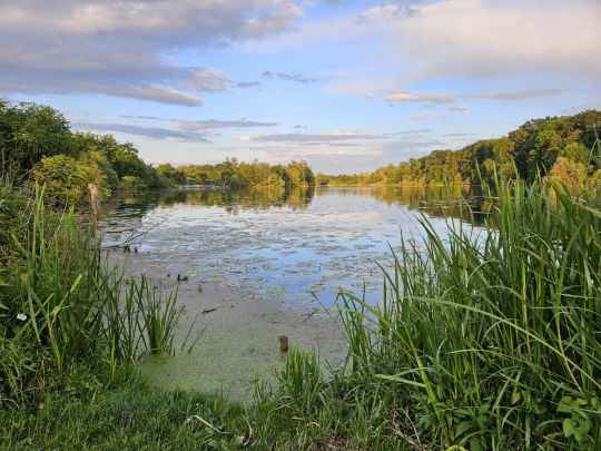 Wakenitz (Lübeck)-0