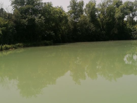 Häßloch (Bretten)-1