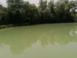 Häßloch (Bretten)-1