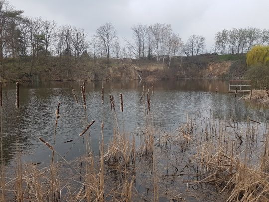 Anglerparadies Oschatz-4