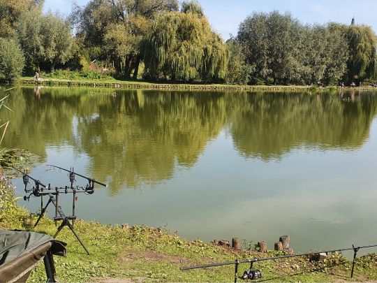 De Droomvijver (Hoensbroek)-1