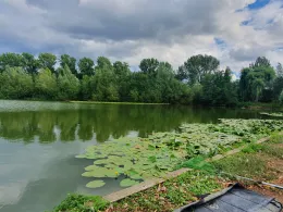 De Droomvijver (Hoensbroek)-3