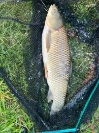 Forellensee Bokensdorf-1