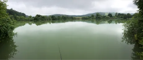 Buchenseen (Güttingen)-1