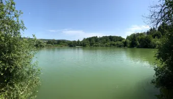 Buchenseen (Güttingen)-2