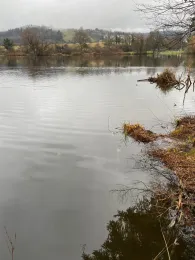 Buchenseen (Güttingen)-4