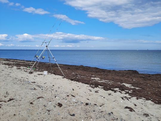 Ostsee (Schönhagen)-2