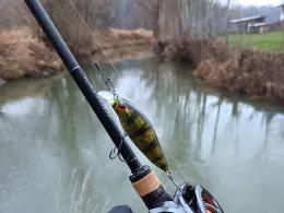 Kollbach (Roßbach)-0