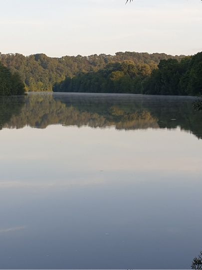 Neckar (Remseck) angeln