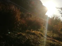 Lindenauer Hafen (Leipzig)-2