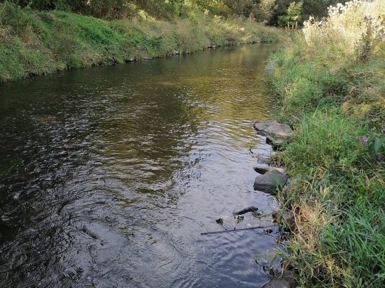 Spree (Bautzen)-3