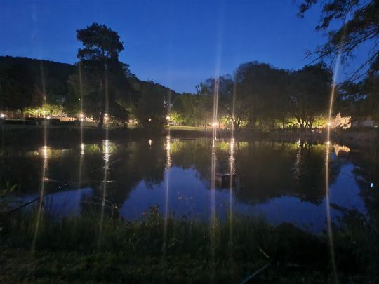 Schloßteich (Philippsthal)-3