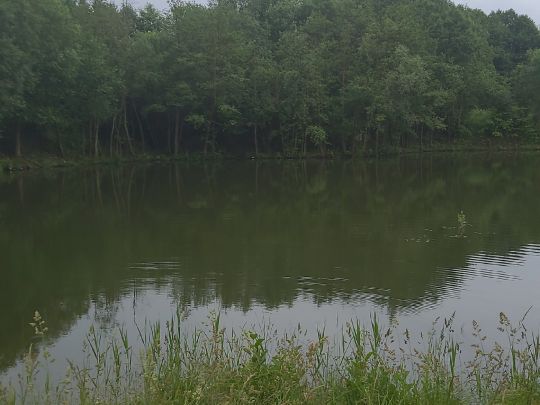 Osterwohld Teichanlage