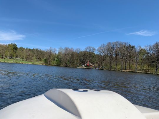 Lopausee