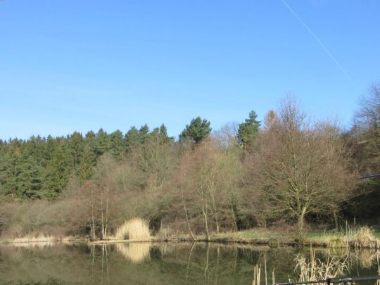 Mönchsteich (Königerode)-2