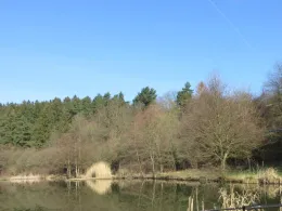 Mönchsteich (Königerode)-2