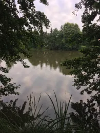 Plaitzer Teich (Dobitschen)-1