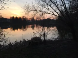 Plaitzer Teich (Dobitschen)