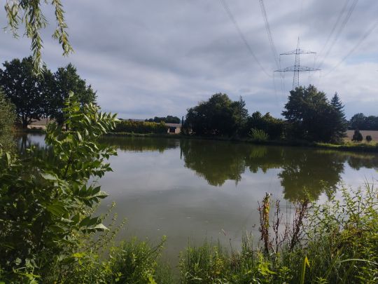 Wiesenweiher Pohle